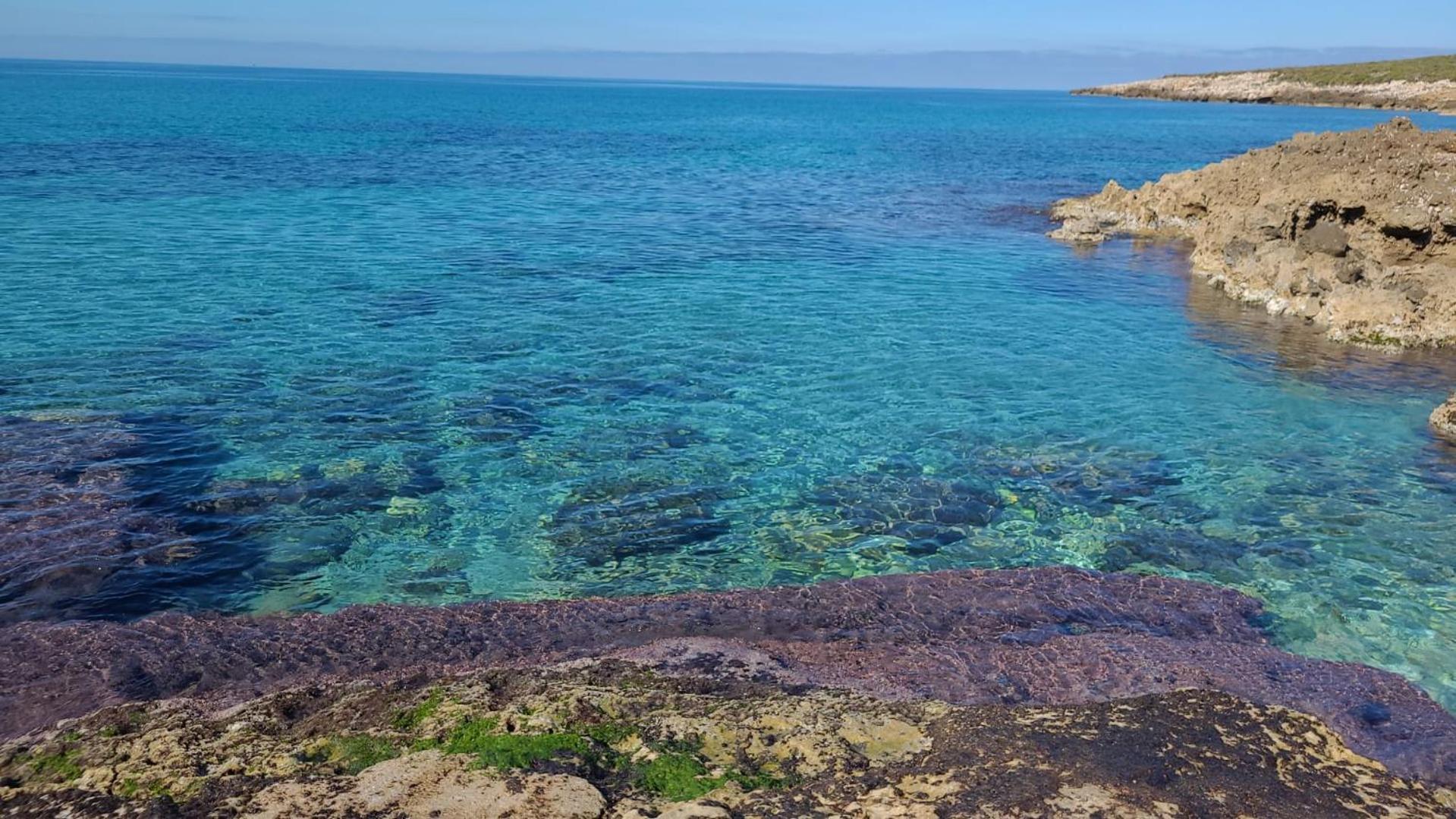 Tonnara di Bonagia Casa Del Nespoloヴィラ エクステリア 写真